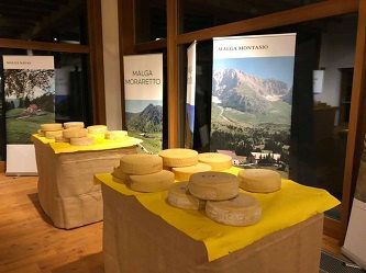  Il miglior formaggio di malga della montagna friulana 