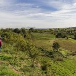 Parco della Caffarella