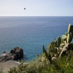 Parco_arch_Tauriani_FedericoNeri