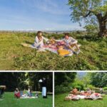 I luoghi più belli dove fare picnic