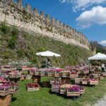 fiori nella rocca - lonato del garda