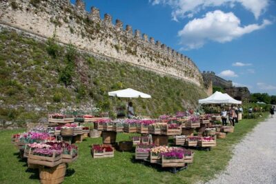 fiori nella rocca - lonato del garda