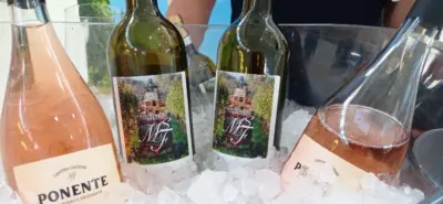 Cantina Castioni: Eccellenza del Lago di Garda